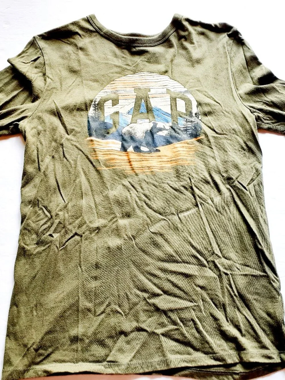 Gap Boys T-Shirt Green Bear Outdoors Nature Long Sleeve Logo XXL 14-16
